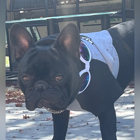 🥳LIVE SHOW UPDATES !! DROP REQUESTS BELOW ❤️Live Shows - Picture 12 of 16